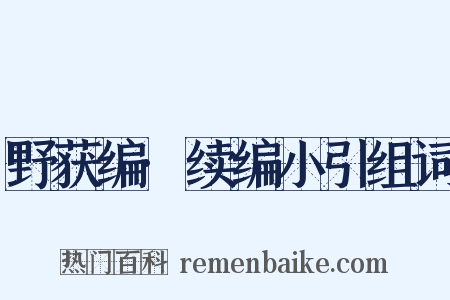 野获编·续编小引组词是什么意思的图片